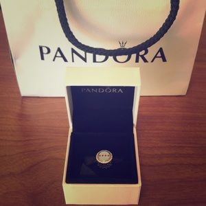 Authentic Double Sided Chicago Pandora Charm